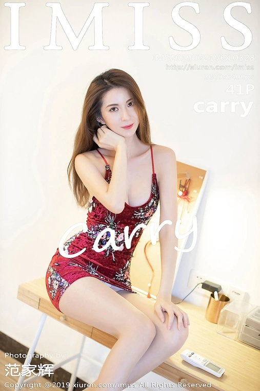 2019.02.21 Vol.328 carry[42P]